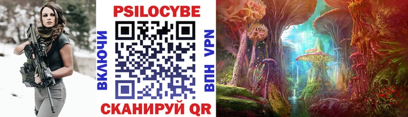 Купить закладки  Бабушкин  Галлюциногенные грибы ЛСД 